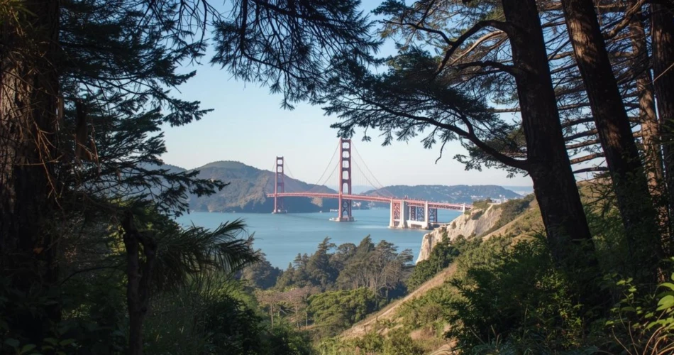 Top Hiking Trails and Scenic Spots in San Francisco 