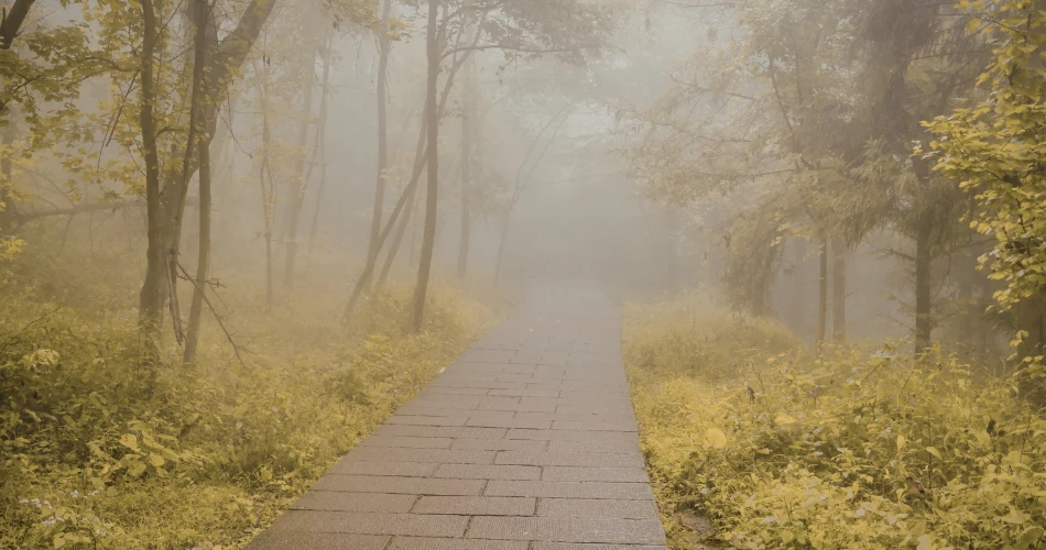 Top Hiking Trails and Scenic Spots in San Francisco 